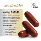 Mitochondrial Fuel+