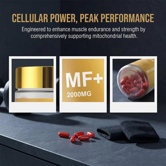 Mitochondrial Fuel+