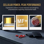 Mitochondrial Fuel+