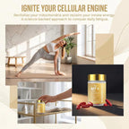 Mitochondrial Fuel+
